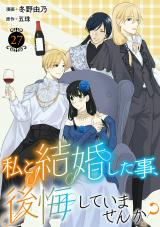 私と結婚した事、後悔していませんか？27 パッケージ画像