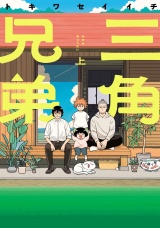 三角兄弟 上（ヒーローズコミックス　ふらっと） パッケージ画像
