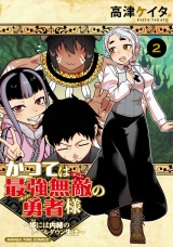 かつては最強無敵の勇者様　〜姫には内緒のレベルダウン生活〜　２巻 パッケージ画像