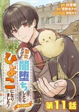 【単話版】聖女だけど闇堕ちしたらひよこになりました！@COMIC 第11話 パッケージ画像