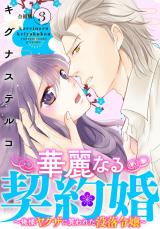 華麗なる契約婚 ～俺様ヤクザに買われた没落令嬢～【合冊版】3 パッケージ画像