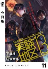 【分冊版】実験地区13 11 パッケージ画像