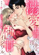 【ラブパルフェ】溺愛上司の指先は、極甘でイジワル。～本気で抱かれる濡れトロ蜜夜　6 パッケージ画像