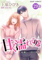 甘く濡れる嘘～結婚という名の復讐～（29巻） パッケージ画像