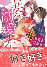 秘密の若奥様　妻を溺愛するのは夫の役目です ２ パッケージ画像