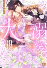 殿下、溺愛が大きすぎます…っ 捨てられ令嬢はなぜか鋼鉄の皇太子から求婚される （4） パッケージ画像