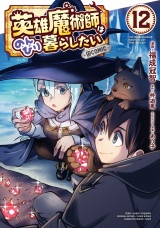 英雄魔術師はのんびり暮らしたい@COMIC 第12巻 パッケージ画像