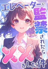 エレベーターに監禁されたらxxをした件(2) パッケージ画像