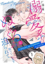 溺愛系のぬいぐるみに迫られて困っています【描き下ろしおまけ付き特装版】 1 パッケージ画像