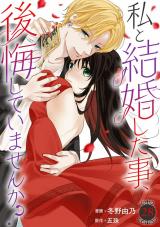 私と結婚した事、後悔していませんか？28 パッケージ画像