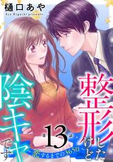 整形したけど陰キャです～恋するまでの365日～13 パッケージ画像