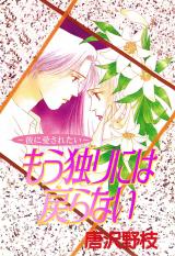 ～彼に愛されたい～もう独りには戻らない パッケージ画像