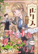 comicルクス Vol.10 パッケージ画像