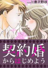 契約婚からはじめよう パッケージ画像