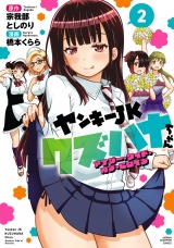 ヤンキーJKクズハナちゃん アナザー・サイド・オブ・ヒロイン　2 パッケージ画像