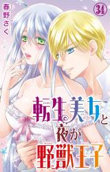 転生美女と夜が野獣王子34 パッケージ画像