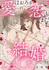 【ラブコフレ】愛はおろか 恋もまだなんですけどとりあえず先に結婚しました act.6 パッケージ画像
