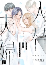 入替夫婦〜あなたが親友を抱いたとしても〜（２） パッケージ画像