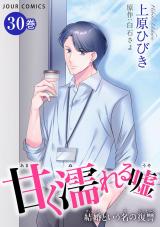 甘く濡れる嘘～結婚という名の復讐～（30巻） パッケージ画像