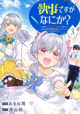 執事ですがなにか？〜幼馴染のパワハラ皇女と絶縁したら、隣国の向日葵王女に拾われたのでこの身を捧げます〜【電子単行本版】３ パッケージ画像