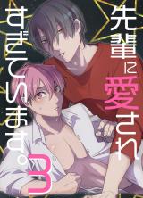 先輩に愛されすぎています。３ パッケージ画像