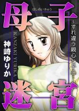 母子迷宮～すれ違う親心と子心～ パッケージ画像