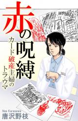 赤の呪縛 カード破産主婦のトラウマ パッケージ画像