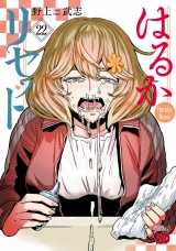 はるかリセット 22 パッケージ画像