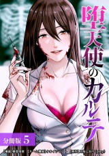 【分冊版】堕天使のカルテ 5巻 パッケージ画像