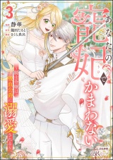 あなたの寵妃でかまわない 〜騎士令嬢は吸血公爵に溺愛される〜 コミック版 （3） パッケージ画像