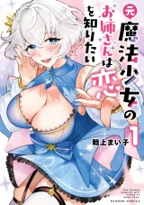 元魔法少女のお姉さんは恋を知りたい (1) パッケージ画像