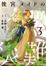後宮メイドの災難〜人使いの荒い宮廷書記官と推理する〜【電子単行本版】(3) パッケージ画像