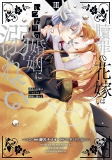 贖罪の花嫁はいつわりの婚姻に溺れる３ パッケージ画像