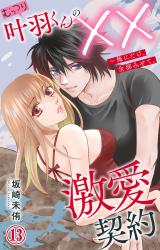 むっつり叶羽くんの××激愛契約～俺にだけ、全部みせて。13 パッケージ画像