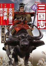 三国志　8 パッケージ画像