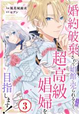 婚約破棄されて娼館に売られる（予定）なので、超高級娼婦を目指します！3 パッケージ画像