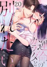 運命のカラダと別れたい。~思い出したくなかった、元カレとのズブズブH20 パッケージ画像
