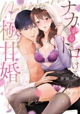 ナカからトロける極甘婚～絶倫エリート同僚とカラダの相性MAXエッチ【単行本版】【電子限定描き下ろしイラスト付き】 パッケージ画像