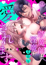 祓魔師は淫魔に今日も愛されます(11) パッケージ画像
