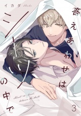 答えあわせはシーツの中で(3) パッケージ画像