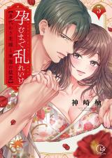 孕むまで乱れいけ～身代わり花嫁と軍服の猛愛【単行本版】【特典ペーパー付き】5 パッケージ画像