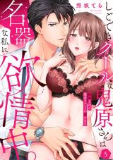 【ラブパルフェ】しごできクールな鬼原さんは名器な私に欲情中。～絶倫上司の激愛ラブハメが重すぎる　5 パッケージ画像