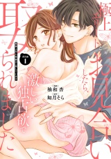 極上エリートとお見合いしたら、激しい独占欲で娶られました　俺様上司と性癖が一致しています【番外編１】 パッケージ画像