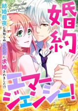 婚約エマージェンシー！〜結婚前夜に見知らぬイケメンに求婚されました！？(8) パッケージ画像