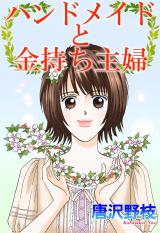 ハンドメイドと金持ち主婦 パッケージ画像