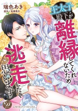 王太子殿下が離縁してくれないため逃走したく思います【描き下ろし番外編つき】 パッケージ画像