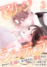 マリッジシンデレラ拾われた花嫁は一途な副社長に溺愛される3巻 パッケージ画像