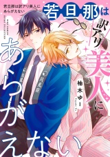 若旦那は訳アリ美人にあらがえない 【電子限定おまけ付き】 パッケージ画像