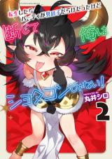 転生したらパーティが男の子だらけだったけど断じて俺はショタコンじゃない！2 パッケージ画像