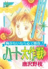 ハート大作戦　胸がないなら心で勝負！ パッケージ画像